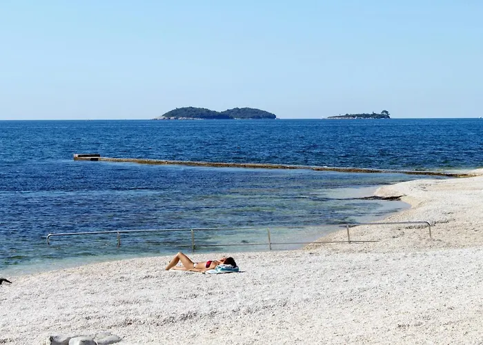 Family Friendly House With A Parking Space - 20540 * 로비니